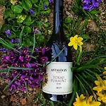 Antaloczy Vendeghaz Lejlighed Tokaj