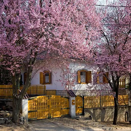 Apartment Antaloczy Vendeghaz Tokaj