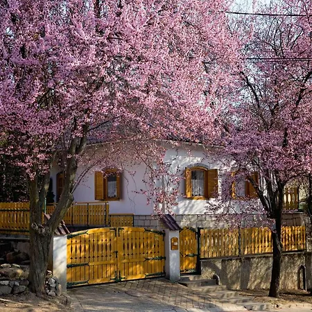 Daire Antaloczy Vendeghaz Tokaj