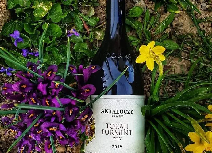 Antaloczy Vendeghaz Διαμέρισμα Tokaj